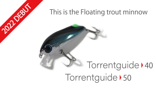 Torrentguide50