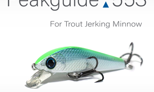Peakguide55S
