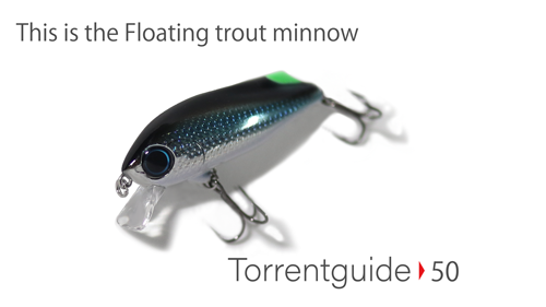 Torrentguide50